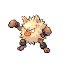 watchog